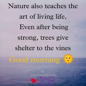 Good morning quotes in english