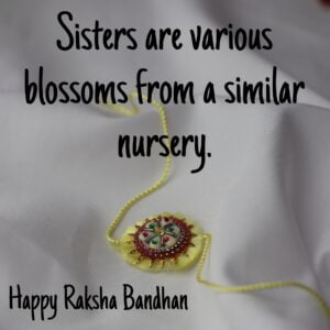 happy raksha bandhan