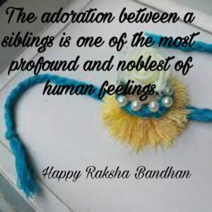 happy raksha bandhan